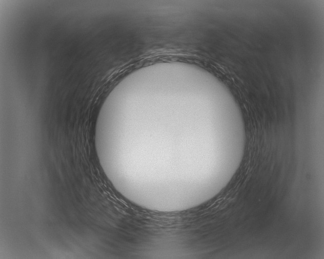 X0000081321157200701111021