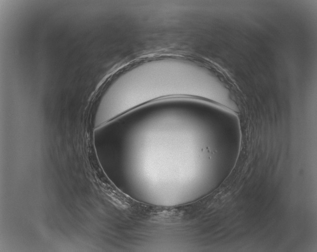 X0000081321160200701111021