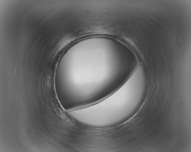 X0000081321163200701111021