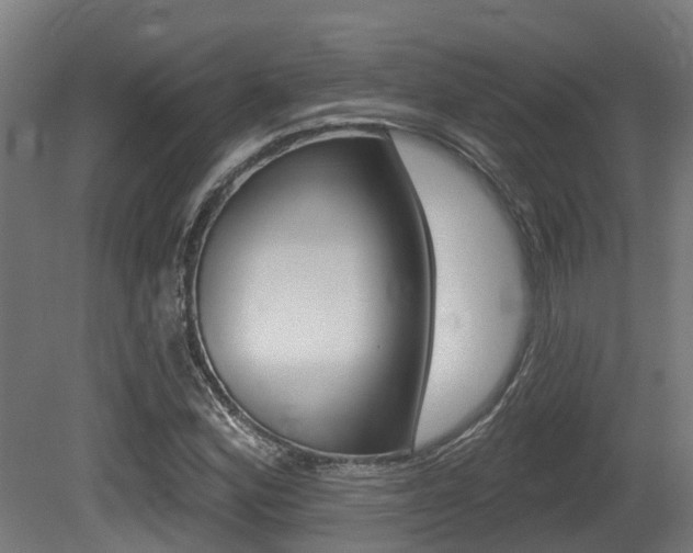 X0000081321164200701111021