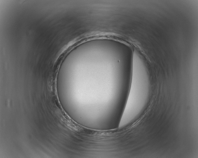 X0000081321165200701111021