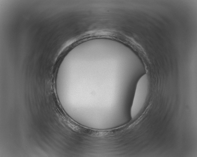 X0000081321166200701111021