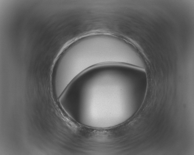 X0000081321168200701111021