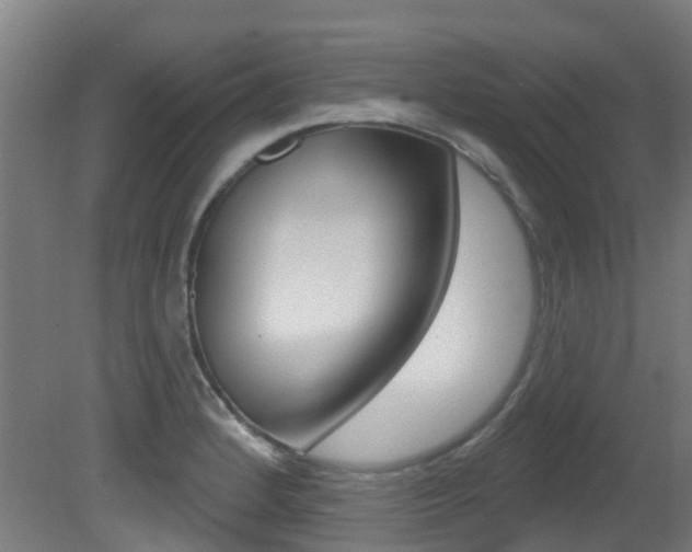X0000081321184200701111020