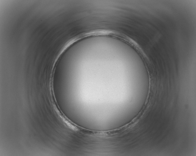 X0000081321186200701111020
