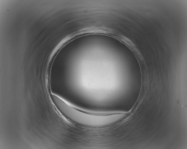 X0000081321188200701111020