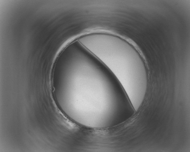 X0000081321191200701111020