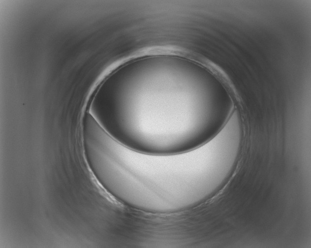 X0000081321192200701111020