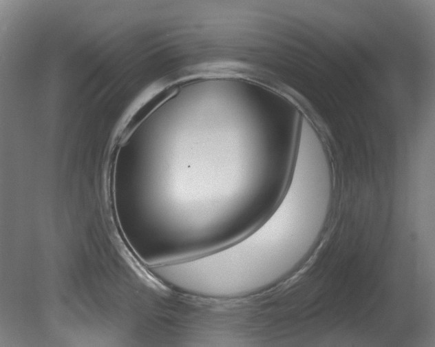 X0000081321196200701111020