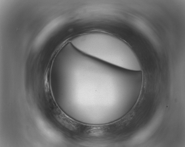 X0000081321198200701111020
