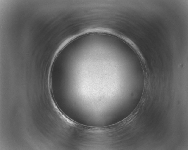 X0000081321199200701111020