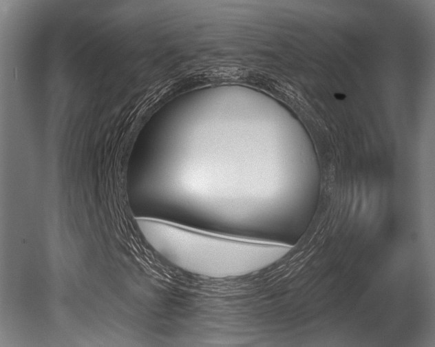 X0000081321201200701111019