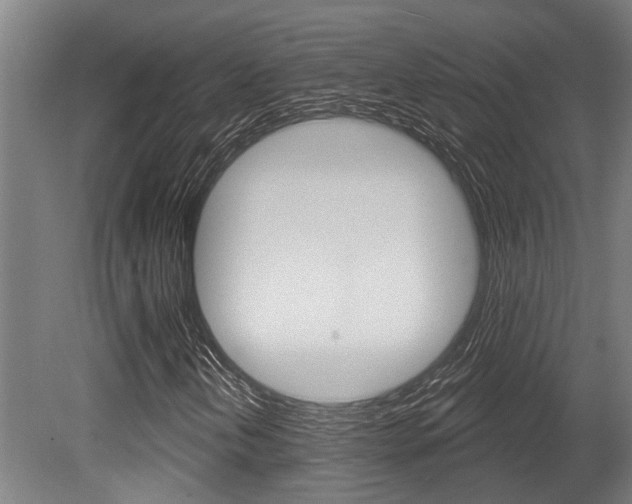 X0000081321202200701111019