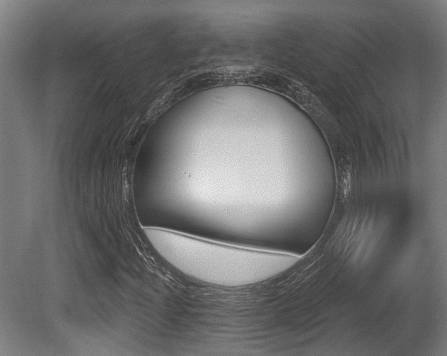 X0000081321204200701111019