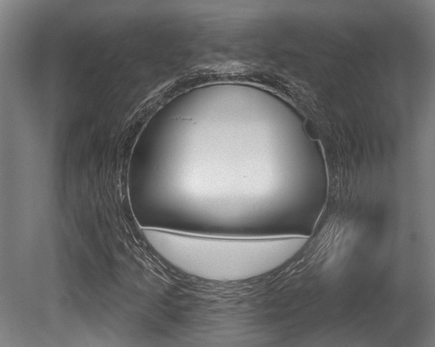 X0000081321205200701111019