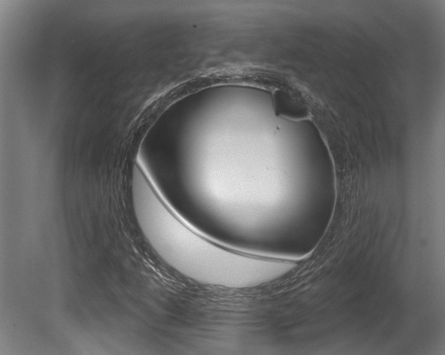 X0000081321206200701111019