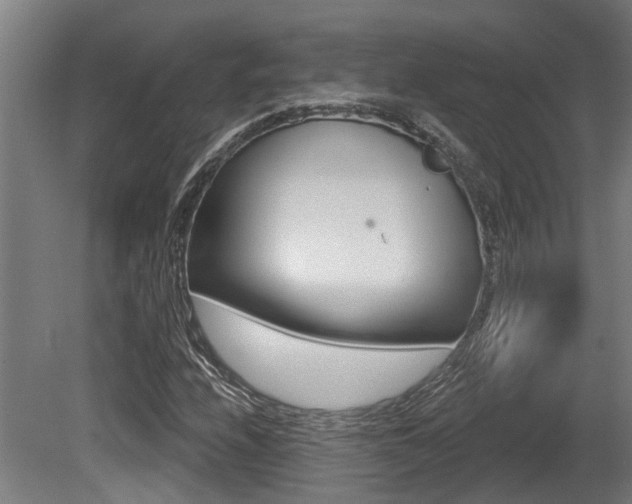 X0000081321208200701111019
