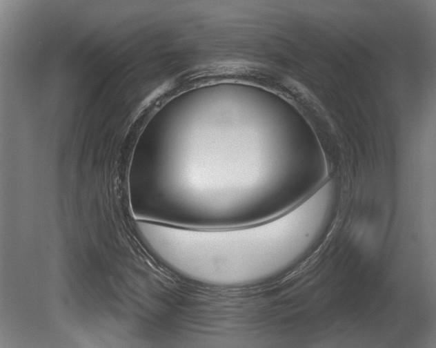X0000081321210200701111019