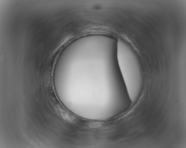 X0000081321211200701111019