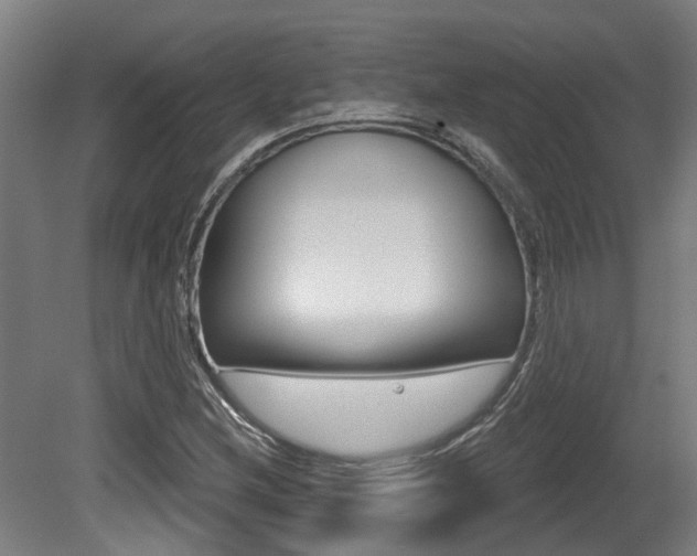 X0000081321212200701111020