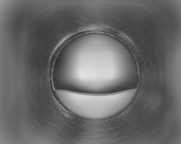 X0000081321216200701111020