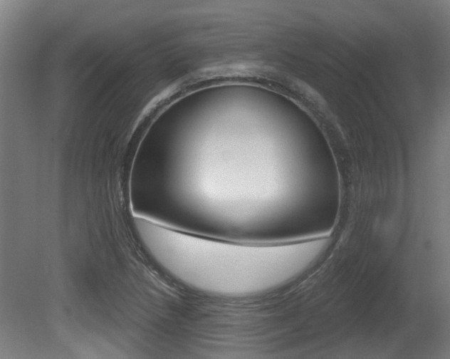 X0000081321218200701111020