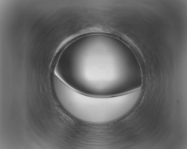 X0000081321222200701111020