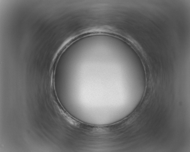 X0000081321224200701111020
