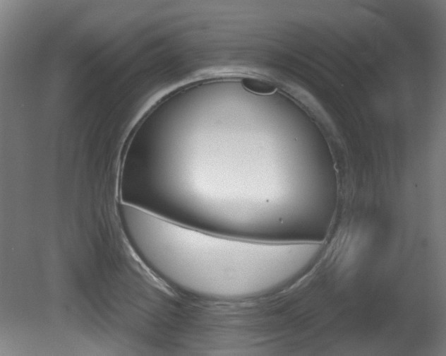 X0000081321228200701111020
