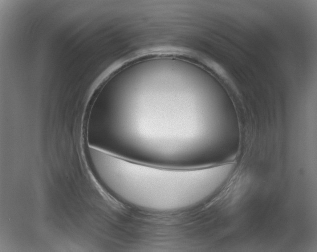 X0000081321229200701111020