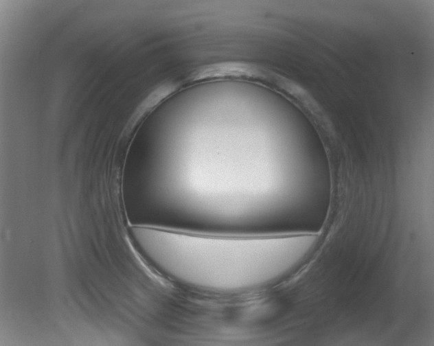 X0000081321233200701111020