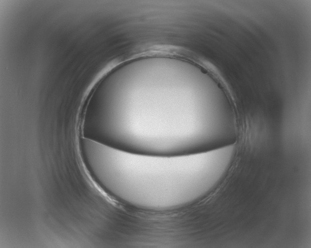 X0000081321235200701111020