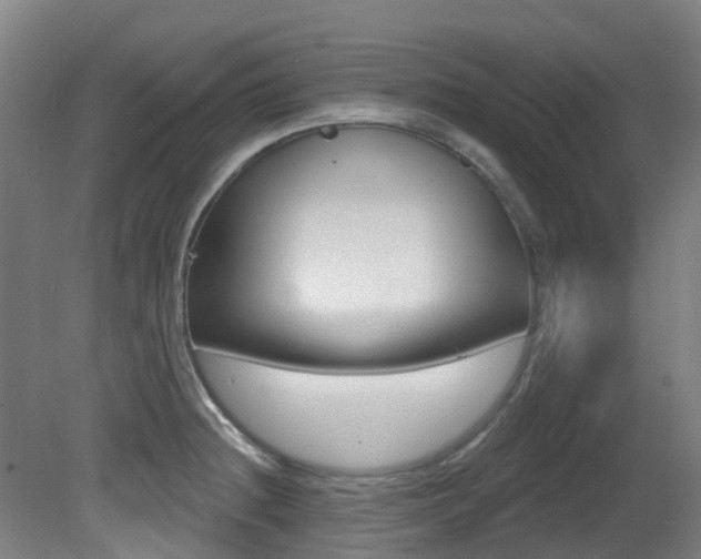 X0000081321236200701111020