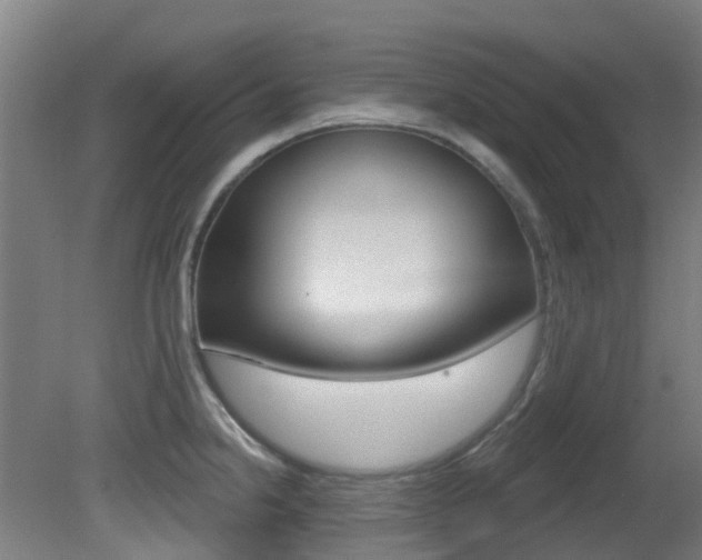 X0000081321238200701111020