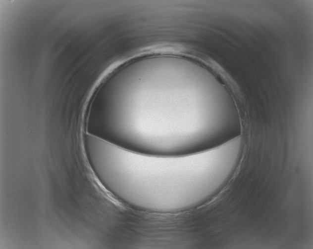 X0000081321240200701111020