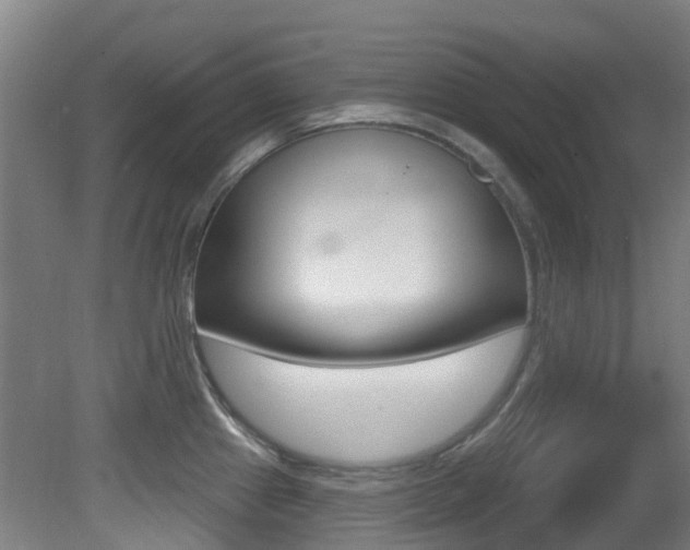 X0000081321241200701111020