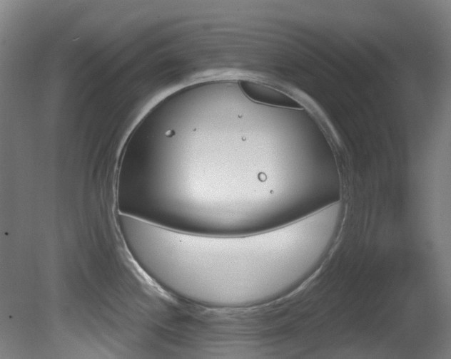 X0000081321244200701111020