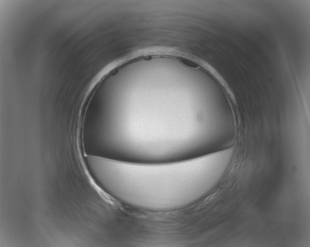 X0000081321245200701111020