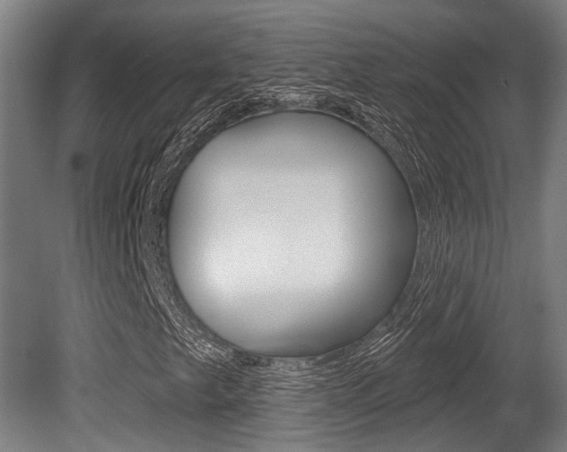 X0000081321249200701111019