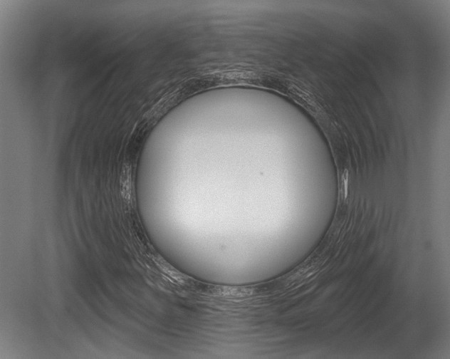 X0000081321251200701111019