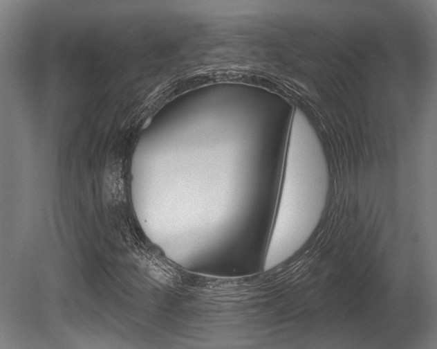 X0000081321252200701111019