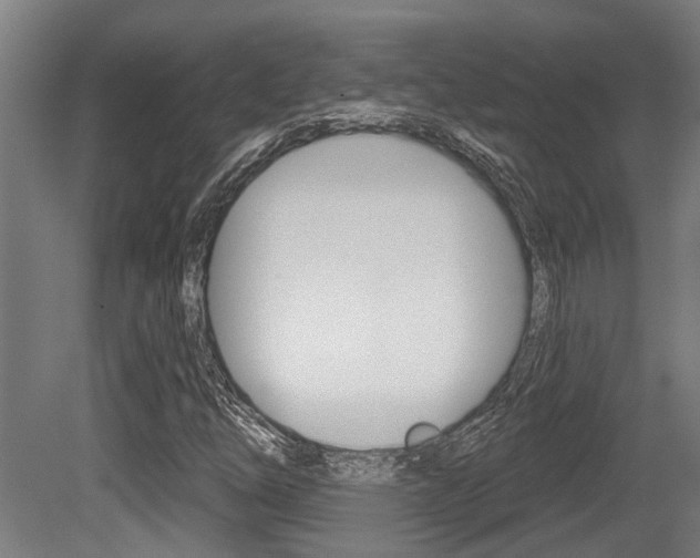 X0000081321254200701111019