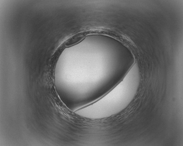 X0000081321256200701111019