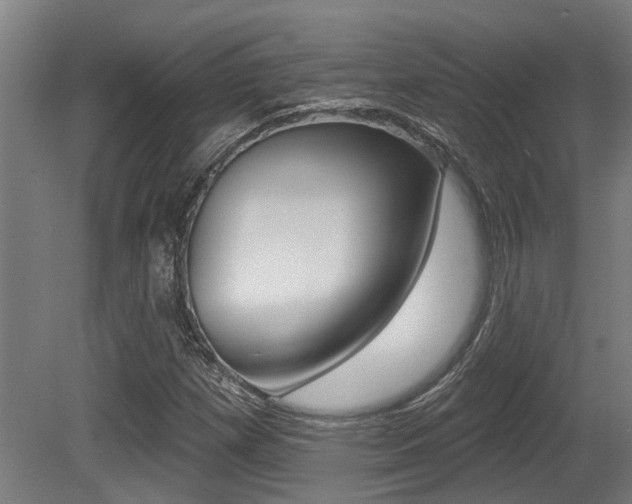 X0000081321257200701111019