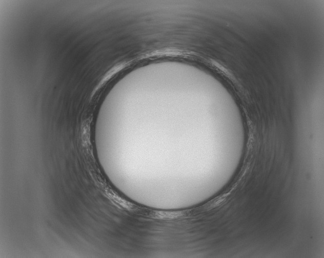 X0000081321258200701111019