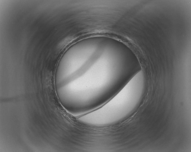 X0000081321265200701111019