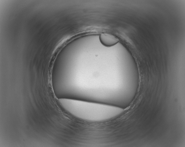 X0000081321267200701111019