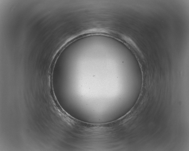 X0000081321268200701111019