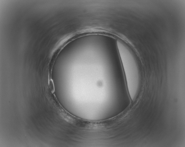 X0000081321269200701111019