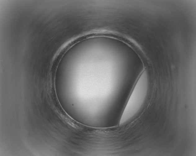 X0000081321270200701111019